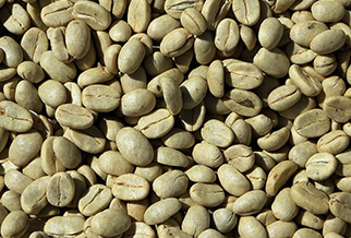 Propiedades del café verde